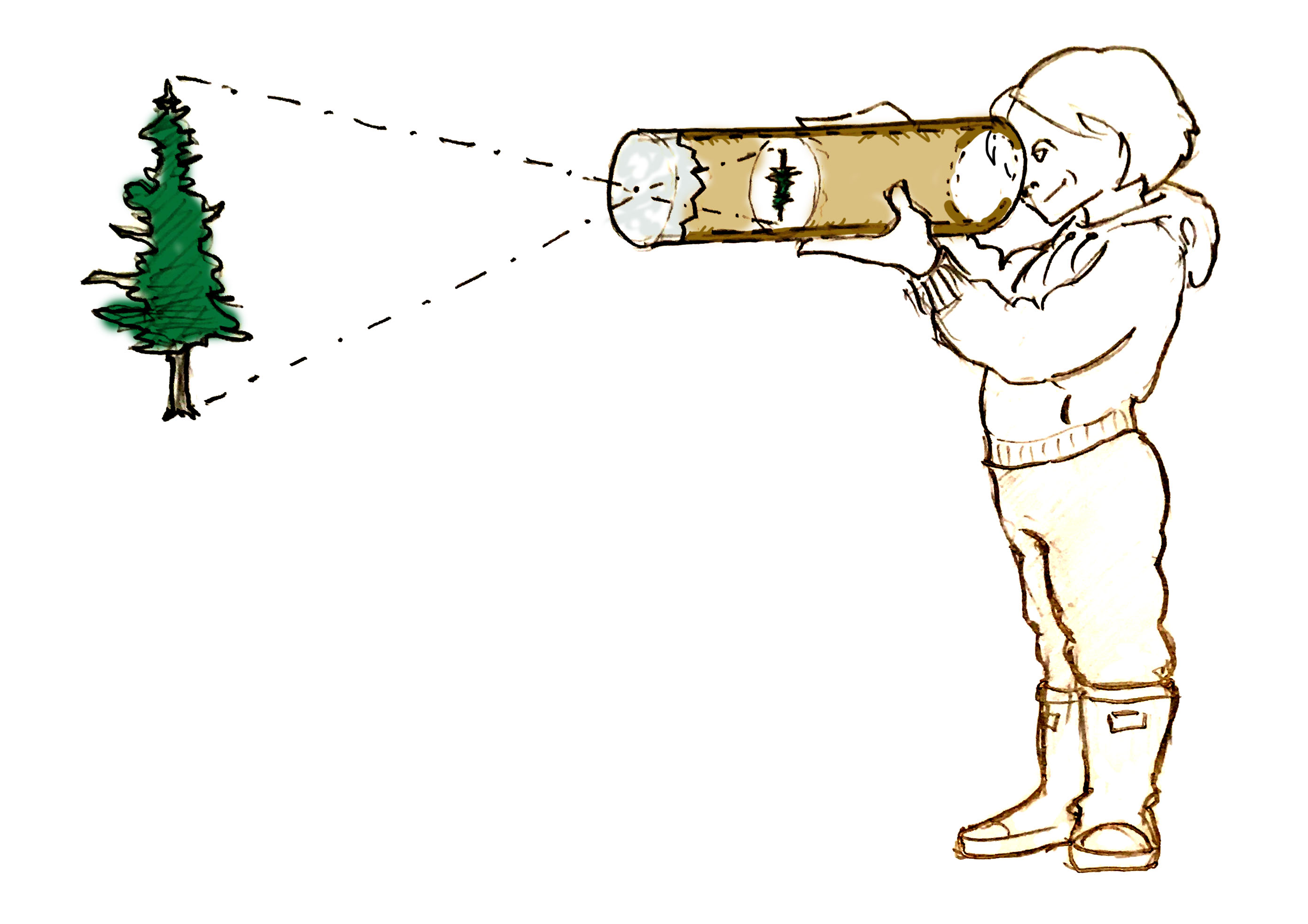 Illustration of a homemade camera obscura showing how a tree appears upside down.